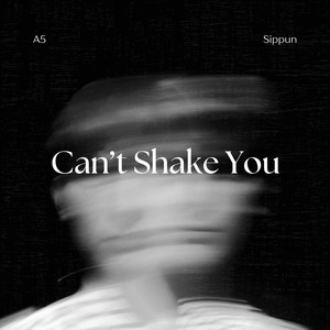 Can't Shake You