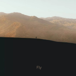 Fly