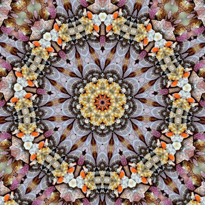 KALEIDOSCOPE