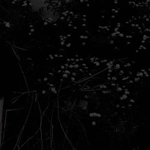 pandorasbox. (feat. 6778) (Explicit)