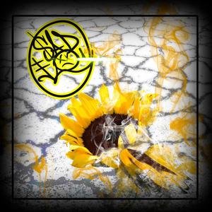 No Soy Fuerte (feat. Pulido Boss & Zury Diaz) (Explicit)