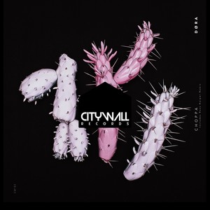 Choppa (Ross Harper Remix)