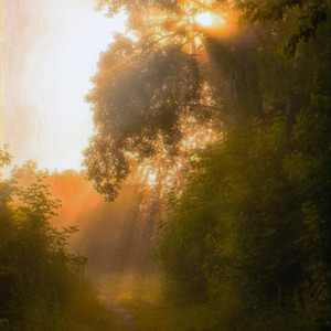 amber traces (speed up)