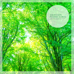 어젯밤 꿈처럼 (Like A Dream Last Night) (Nature Ver.)