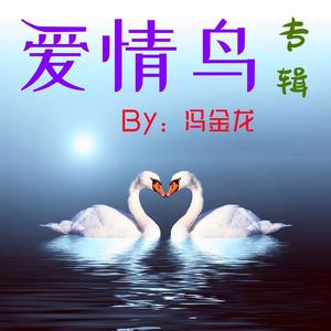 冯金龙 - 你是我的玫瑰花