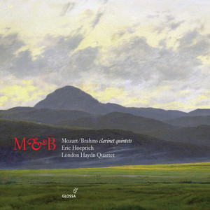Clarinet Quintet in B Minor, Op. 115 - I. Allegro