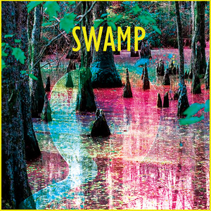 Swamp