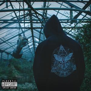 Lowkey (feat. Ryza) (Explicit)
