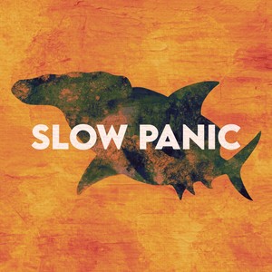 Slow Panic