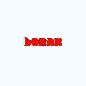 BORAX (feat. AKA COZY) (Explicit)