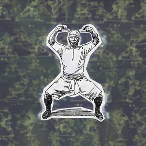 Shaolin Paradoxes (feat. Bruck) (Explicit)