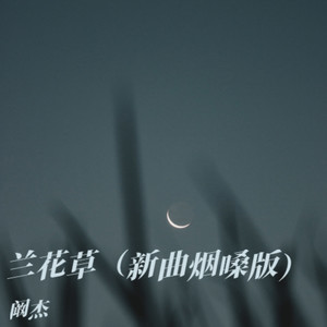 兰花草 (新曲烟嗓版伴奏)