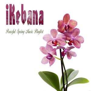 Ikebana (Peaceful Spring Music Playlist)