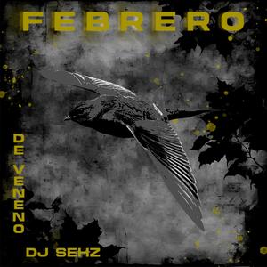 Febrero (feat. Dj Sehz)