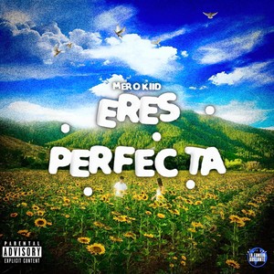 Eres Perfecta (Explicit)