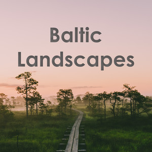 Baltic Landscapes: Pärt, Tormis, Kreek, Ešenvalds, Miškinis