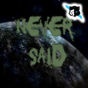 Never Said (Single)