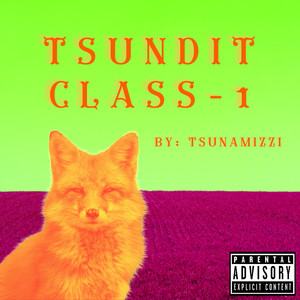 Tsundit Class 1 (Explicit)