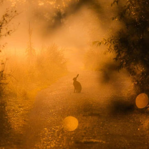 你的背包（让我走得好缓慢）