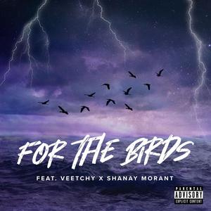 For The Birds (feat. Veetchy & Shanay Morant) (Explicit)