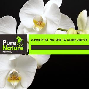 A Party By Nature to Sleep Deeply