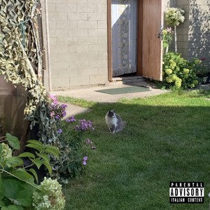 Мажит (очередная быль о белых) (Explicit)