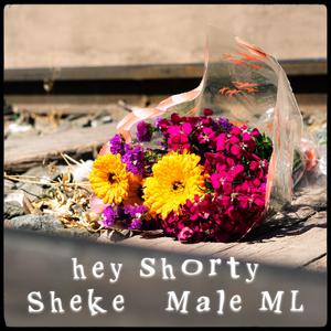 Hey Shorty (feat. Male ML) (Explicit)