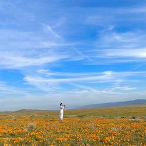 Recorder Sonata In C Major, TWV 41/C5 - I. Adagio, Allegro