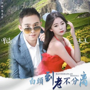 白头到老不分离