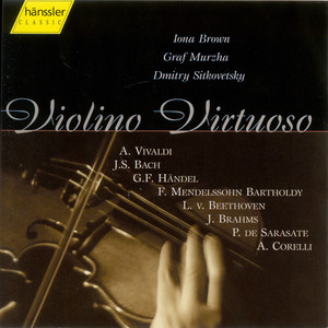 Concerto for 2 Violins in A Minor, Op. 3 No. 8, RV 522 - Concerto for 2 Violins in A Minor, Op. 3, No. 8, RV 522: I. Allegro