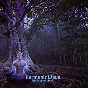 Harmonic Wave (Ambient and Soul)