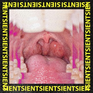 Sient
