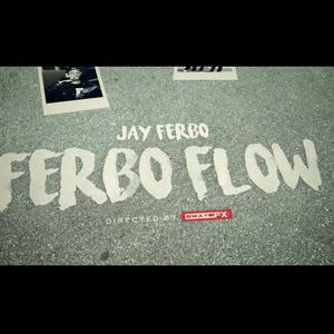 Ferbo Flow (Explicit)