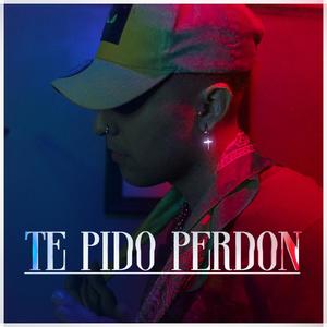 Te pido Perdón (Explicit)