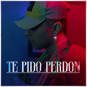 Te Pido Perdón (Explicit)
