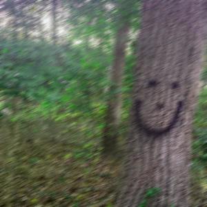 polar death in the sunset (Explicit)