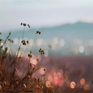 一天一天一天地想念