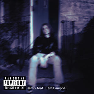 Somebody (feat. Liam Campbell) (REMIX feat Liam Campbell|Explicit)
