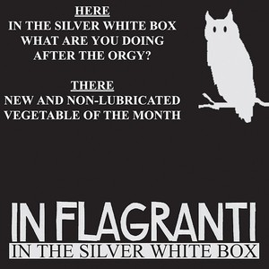 In the Silver White Box EP