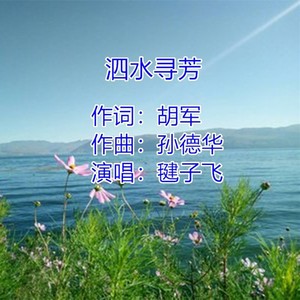 泗水寻芳