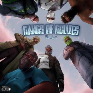 Gangs Of Gullies (Explicit)