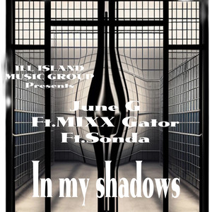 In My Shadows (Explicit)