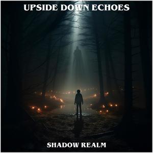 Upside Down Echoes