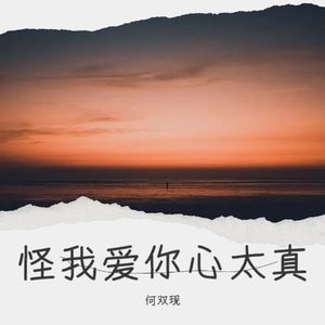 怪我爱你心太真