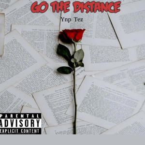 Go the distance (Throw Away) [Explicit]