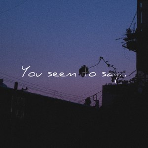 你好像对我说了什么