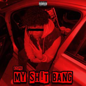 My **** Bang (Explicit)