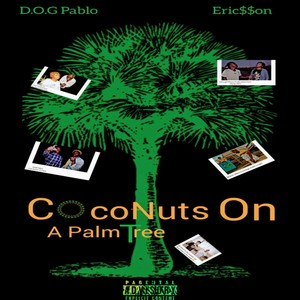 Coconuts on a Palm Tree (Explicit)