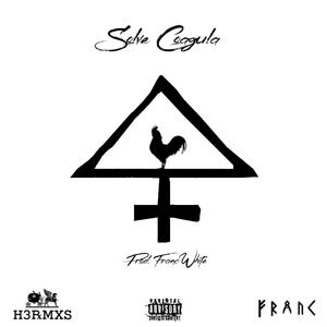 Solve Coagula (Explicit)