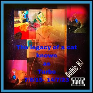 The Legacy Of A Cat Known As Turbo (Explicit)